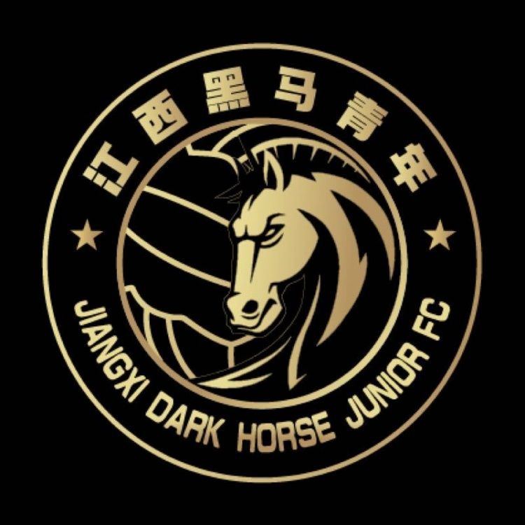官方：江西黑馬青年完成異地遷移程序，更名為溫州職業足球俱樂部